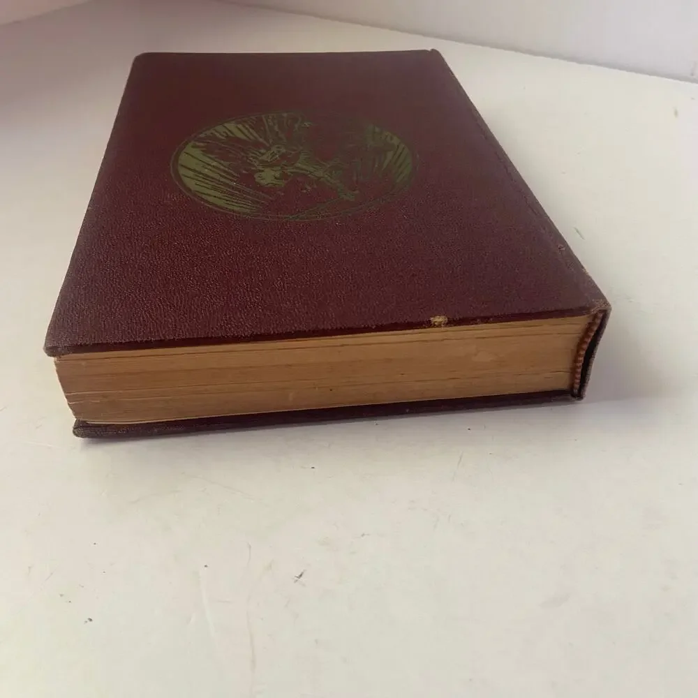 The Children's Classics Heidi John C Winston Collectible USA 1924 Antique